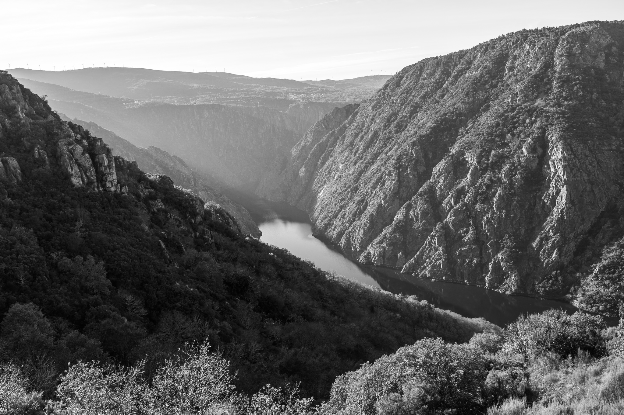 At the encounter of the banks of the rivers Sil and Miño, on the border between the provinces of Lugo and Ourense, are the gorges of the Canyon of the Sil. <br>Natural spaces with 500m deep canyons, small vineyards and different churches and monasteries make up much of the Ribeira Sacra.