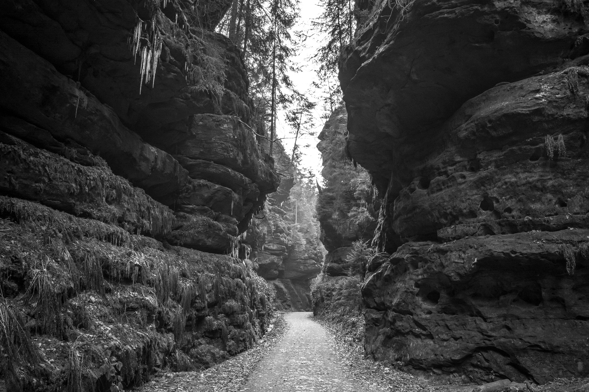 The National Park of Saxon Switzerland is located in Southeastern Germany and south of the city of Dresden. <br> The park, center of a natural space of almost 710 km², extends along the river Elbe. <br> Its characteristic sandstone mountains make up a rocky chain that rises 194 meters above the level of the river.