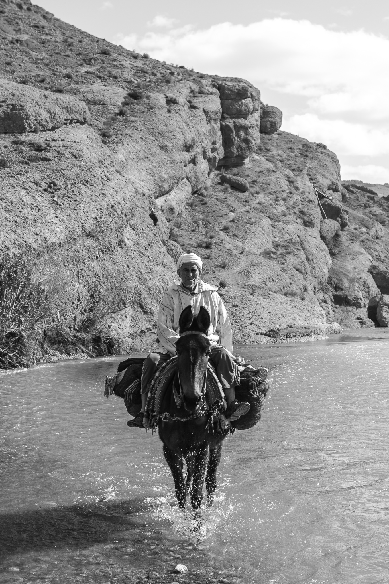 Los Amazigh de la alta montaña se ayudan para su trabajo diario de fuertes mulas o 'tazardunt'. <br>El pueblo bereber, que habitaba estas regiones mucho antes de que llegaran los musulmanes, constituye la verdadera esencia de Marruecos.